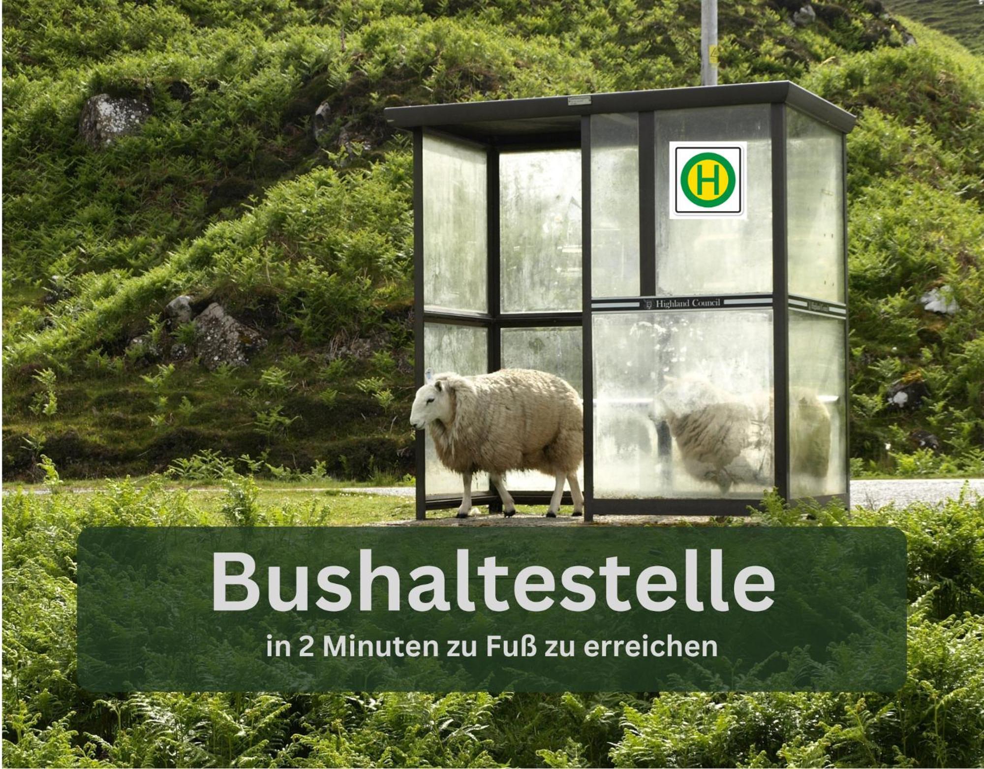 Grashaus30 - Die Luxurioese Ferienwohnung In Whv *