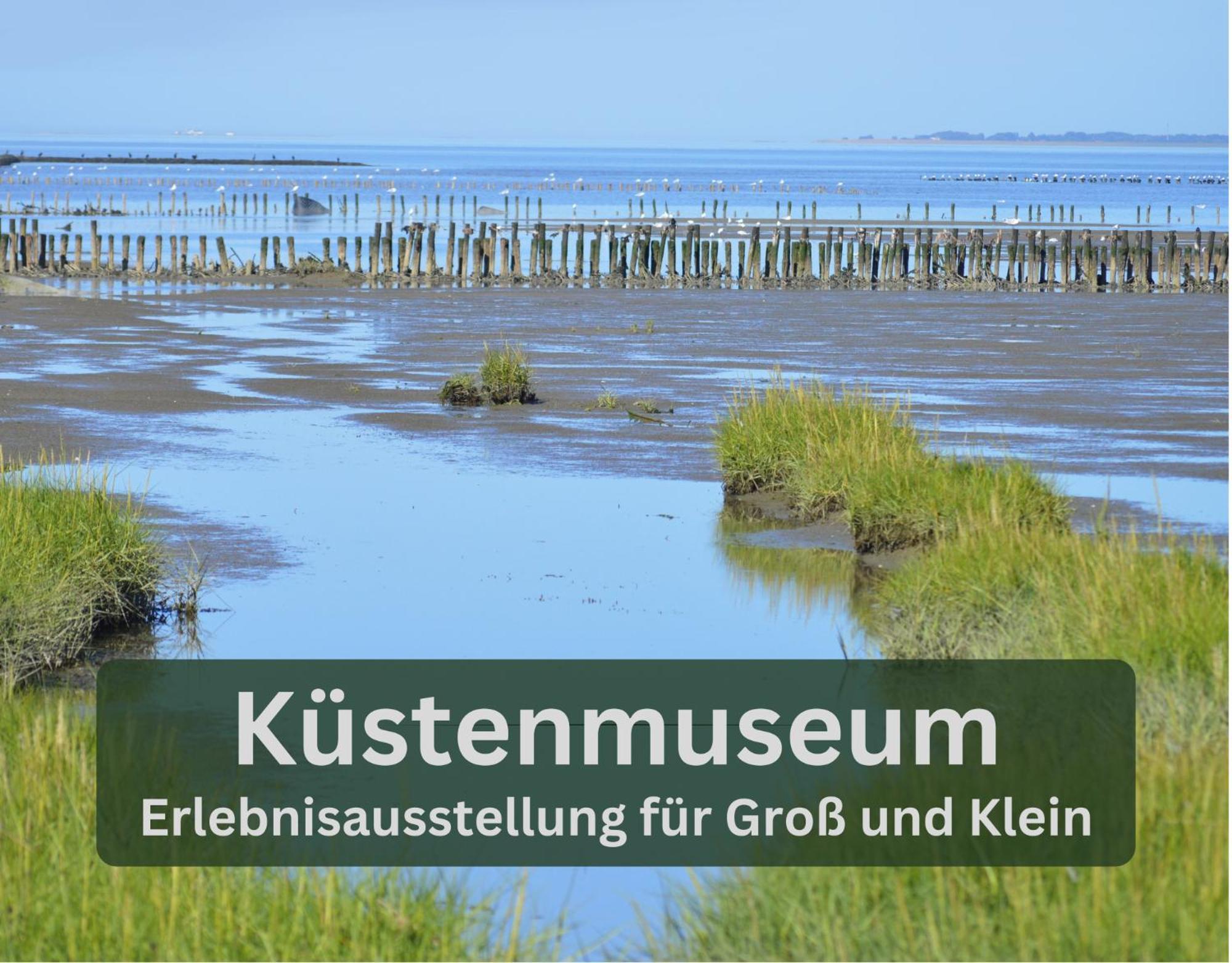 Grashaus30 - Die Luxurioese Ferienwohnung In Whv *