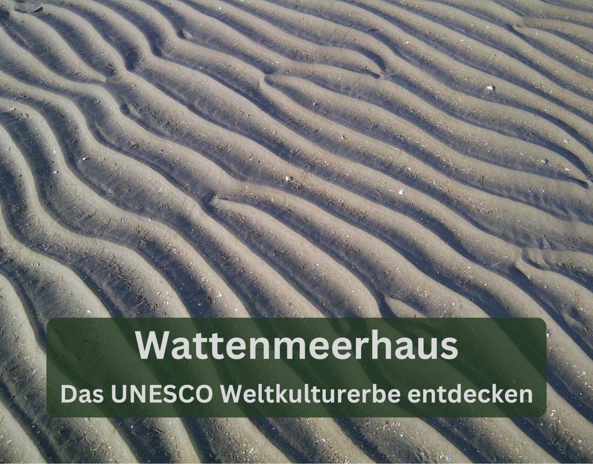 Grashaus30 - Die Luxurioese Ferienwohnung In Whv Apartment Wilhelmshaven